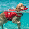 PawFloat™ Pet Safety Vest 🌊🐾 – Head Support & Rescue Ready
